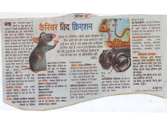 Media & News